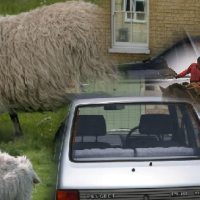 Generierte Collage aus 6 verschiedenen Bildern