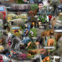 Generierte Collage aus 80 verschiedenen Bildern