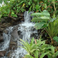 Im Gewächshaus vom Botanischen Garten in Curitiba