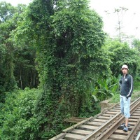 caminhada na linha do trem