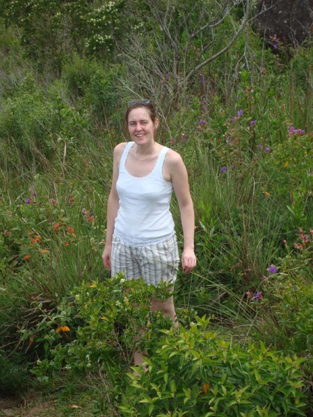 Natal em Florianópolis (Ilha de Santa Catarina)