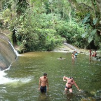 um rio na floresta